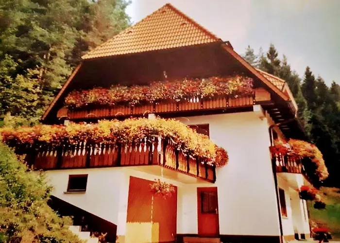 Ferienwohungen Im Kuchersbach