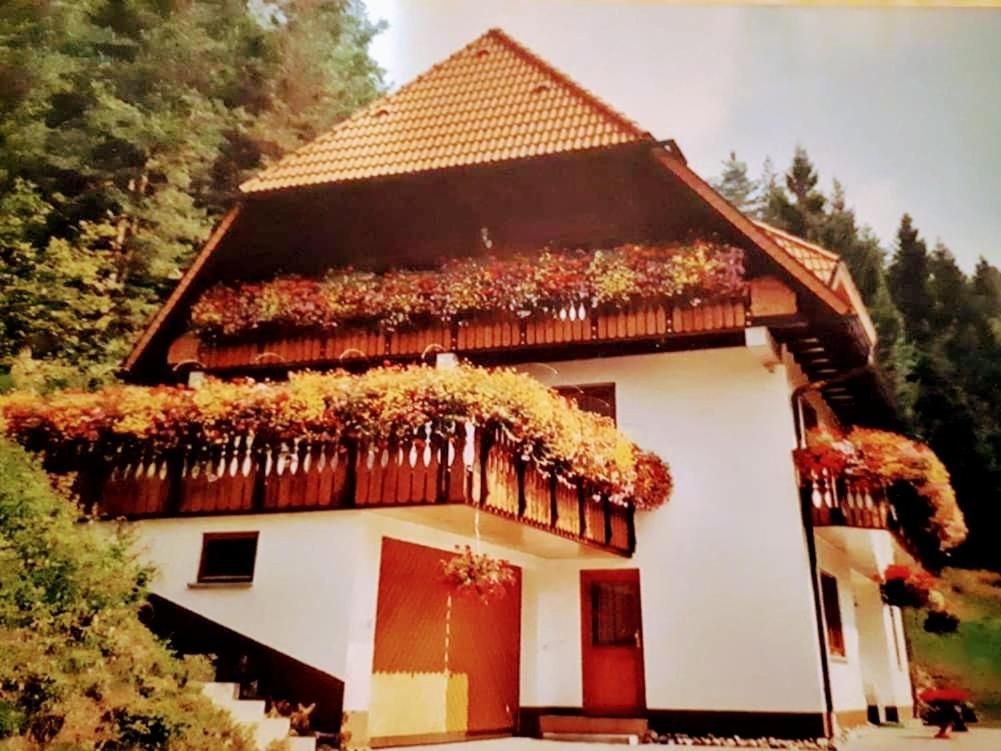 Ferienwohungen Im Kuchersbach