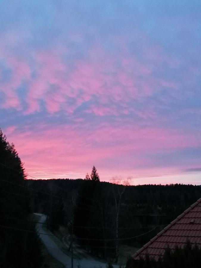 Ferienwohungen Im Kuchersbach *
