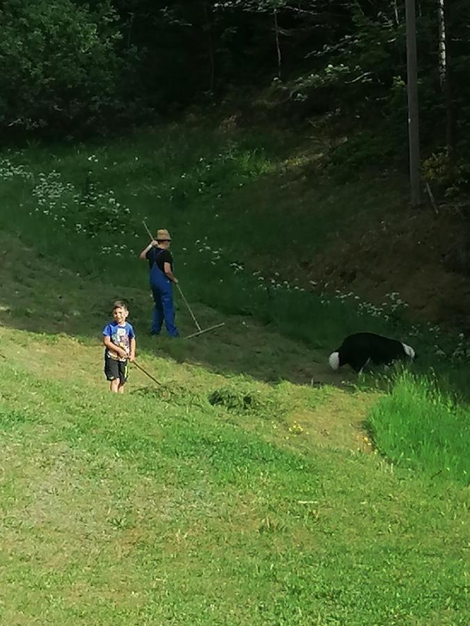 Ferienwohungen Im Kuchersbach Hornberg