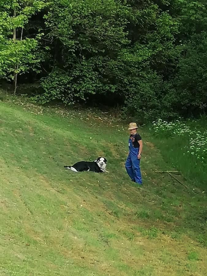 Ferienwohungen Im Kuchersbach Hornberg