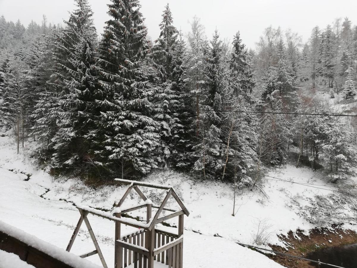 Ferienwohungen Im Kuchersbach * Hornberg