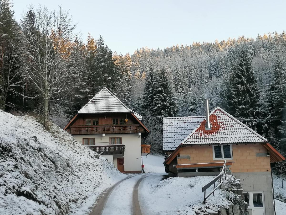 Ferienwohungen Im Kuchersbach Apartment