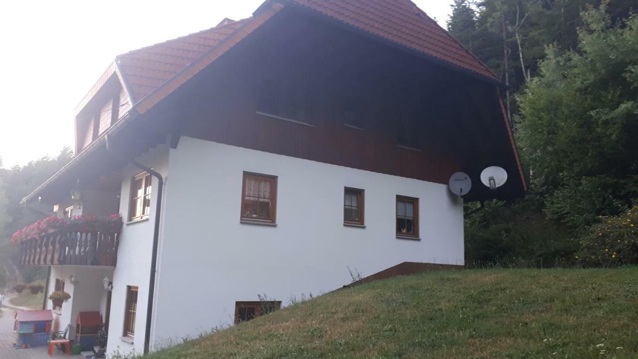 Ferienwohungen Im Kuchersbach Apartment